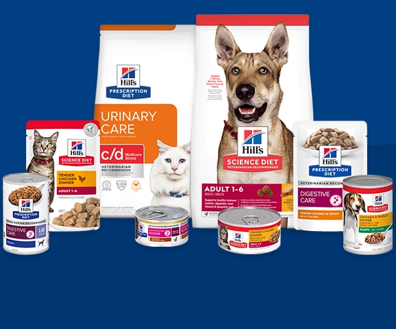 A grouping of Hill’s products including dry food, wet food.